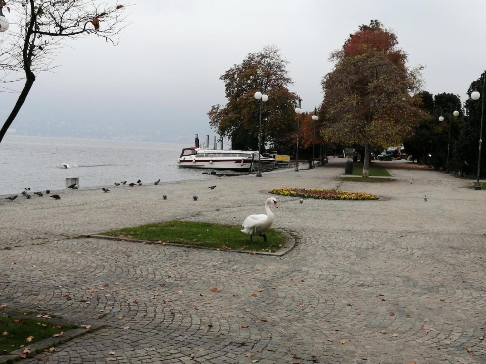 Casa Vacanze La Formica Verbania Exteriör bild